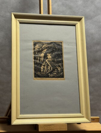 AKT VE STÍNU - JÍLEK KAREL