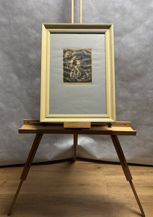 AKT VE STÍNU - JÍLEK KAREL