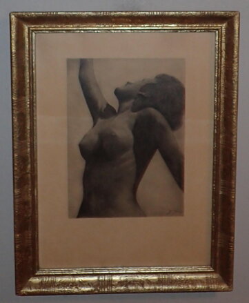 AKT PÓZUJÍCÍ ŽENY - JÍRA JOSEF