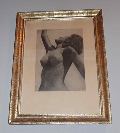 AKT PÓZUJÍCÍ ŽENY - JÍRA JOSEF