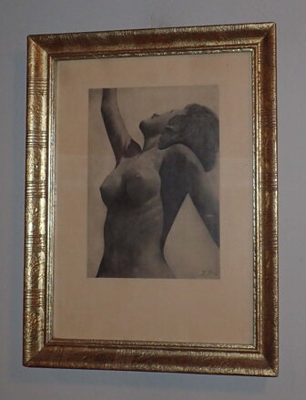 AKT PÓZUJÍCÍ ŽENY - JÍRA JOSEF