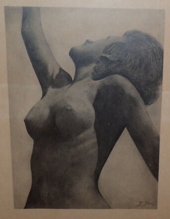 AKT PÓZUJÍCÍ ŽENY - JÍRA JOSEF