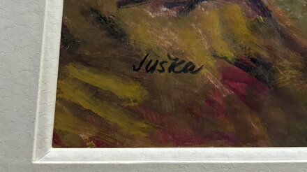 SNOPY V KRAJINĚ - JUŠKA JAN