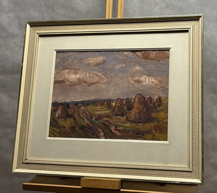 SNOPY V KRAJINĚ - JUŠKA JAN