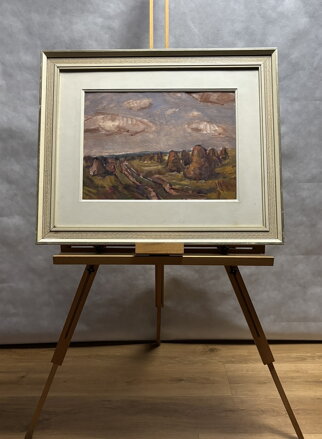 SNOPY V KRAJINĚ - JUŠKA JAN