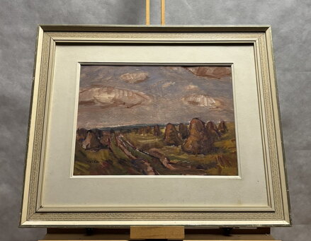 SNOPY V KRAJINĚ - JUŠKA JAN