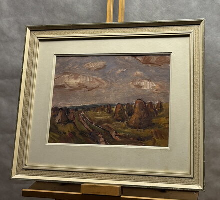 SNOPY V KRAJINĚ - JUŠKA JAN