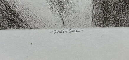 AKT DÍVKA RŮŽE - KAISER JAROSLAV