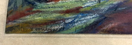 LES V BOUBÍNSKÉM PRALESU - KALOUS ANTONÍN