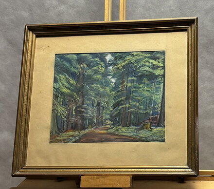 LES V BOUBÍNSKÉM PRALESU - KALOUS ANTONÍN