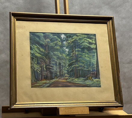 LES V BOUBÍNSKÉM PRALESU - KALOUS ANTONÍN