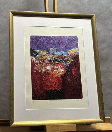 NĚKDE V PROVENCE - KANYZA JAN