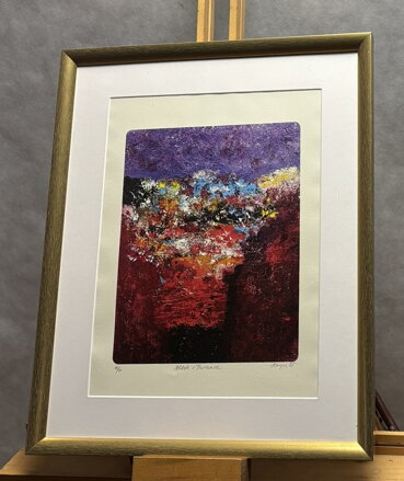 NĚKDE V PROVENCE - KANYZA JAN