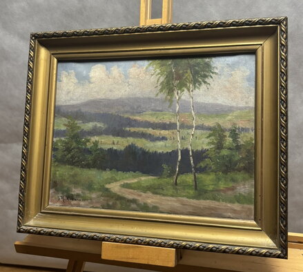 CESTA LETNÍ KRAJINOU S BŘÍZAMI - KORMAŇ J. K.