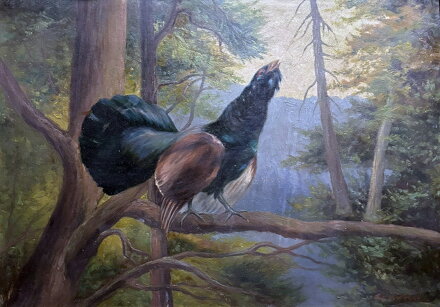 TOKAJÍCÍ TETŘEV HLUŠEC V LESE - KOUTECKÝ MILOSLAV V.