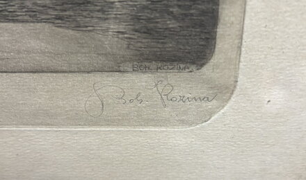 POHLED NA STAROU ZIMNÍ PRAHU - KOZINA KLIMEŠ BOHUMIL