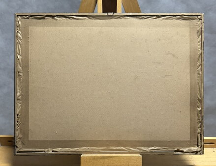 POHLED NA STAROU ZIMNÍ PRAHU - KOZINA KLIMEŠ BOHUMIL