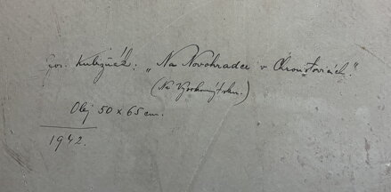 NA NOVOHRADCE V CHROUSTOVICÍCH ( NA VYSOKOMÝTSKU ) - KUBIZŇÁK JOSEF