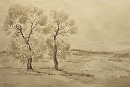 STROMY POD VINICEMI - KUBIZŇÁK JOSEF