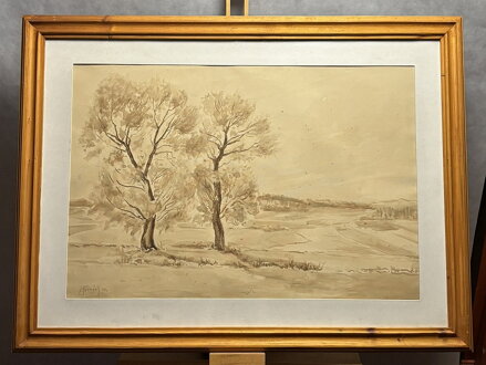 STROMY POD VINICEMI - KUBIZŇÁK JOSEF