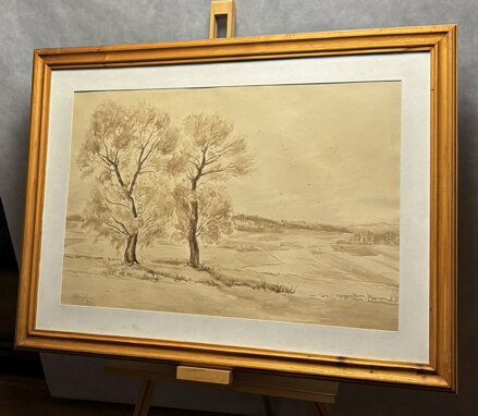 STROMY POD VINICEMI - KUBIZŇÁK JOSEF