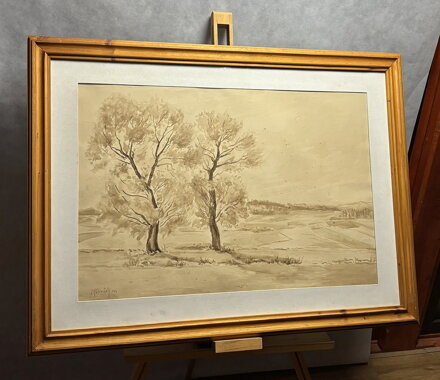 STROMY POD VINICEMI - KUBIZŇÁK JOSEF