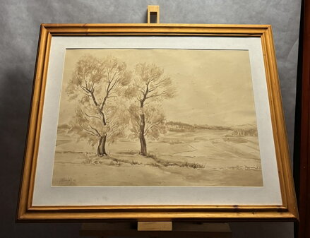 STROMY POD VINICEMI - KUBIZŇÁK JOSEF