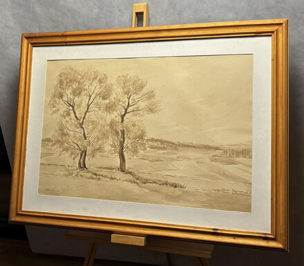 STROMY POD VINICEMI - KUBIZŇÁK JOSEF