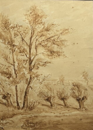 STROMY U VINIC - KUBIZŇÁK JOSEF