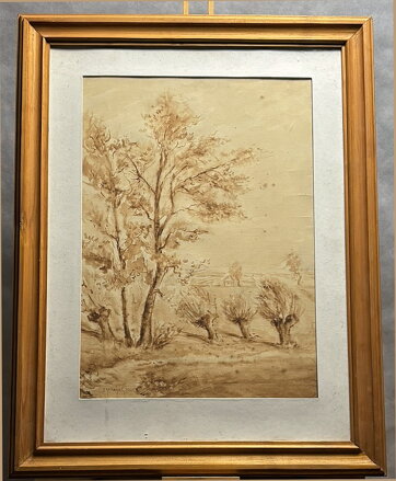 STROMY U VINIC - KUBIZŇÁK JOSEF