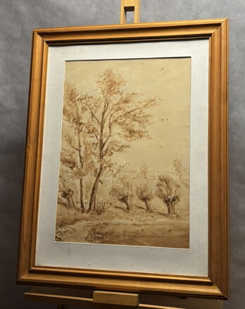 STROMY U VINIC - KUBIZŇÁK JOSEF