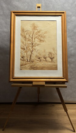 STROMY U VINIC - KUBIZŇÁK JOSEF