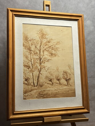 STROMY U VINIC - KUBIZŇÁK JOSEF