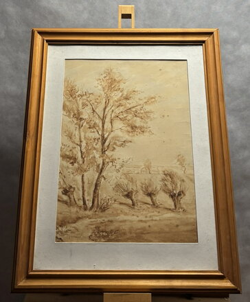 STROMY U VINIC - KUBIZŇÁK JOSEF