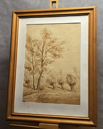 STROMY U VINIC - KUBIZŇÁK JOSEF