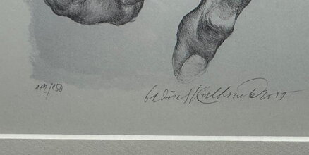 RUCE (PALEC NAHORU A DOLŮ) - KULHÁNEK OLDŘICH