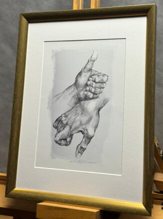 RUCE (PALEC NAHORU A DOLŮ) - KULHÁNEK OLDŘICH