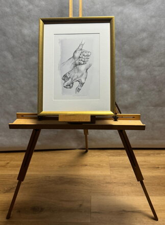 RUCE (PALEC NAHORU A DOLŮ) - KULHÁNEK OLDŘICH