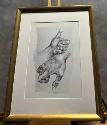 RUCE (PALEC NAHORU A DOLŮ) - KULHÁNEK OLDŘICH