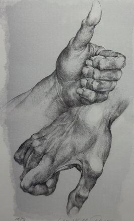 RUCE (PALEC NAHORU A DOLŮ) - KULHÁNEK OLDŘICH