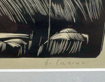 VYSOČINA - LACINA BOHDAN