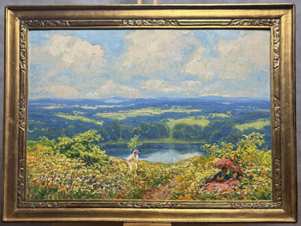 KVETOUCÍ MEZE POD ZVIČÍNSKÝM NEBEM - LANGER KAREL