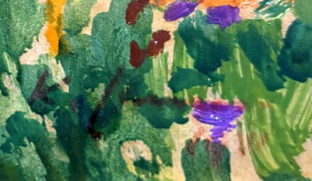 KVETOUCÍ MEZE POD ZVIČÍNSKÝM NEBEM - LANGER KAREL