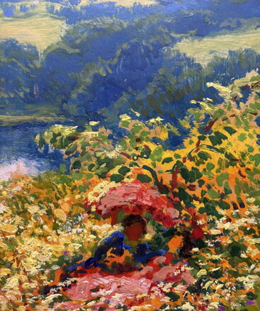 KVETOUCÍ MEZE POD ZVIČÍNSKÝM NEBEM - LANGER KAREL