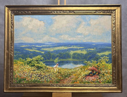 KVETOUCÍ MEZE POD ZVIČÍNSKÝM NEBEM - LANGER KAREL