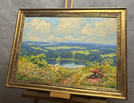 KVETOUCÍ MEZE POD ZVIČÍNSKÝM NEBEM - LANGER KAREL