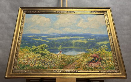 KVETOUCÍ MEZE POD ZVIČÍNSKÝM NEBEM - LANGER KAREL