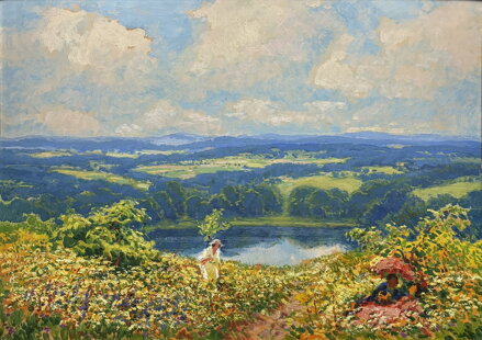 KVETOUCÍ MEZE POD ZVIČÍNSKÝM NEBEM - LANGER KAREL