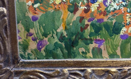 KVETOUCÍ MEZE POD ZVIČÍNSKÝM NEBEM - LANGER KAREL