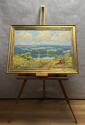 KVETOUCÍ MEZE POD ZVIČÍNSKÝM NEBEM - LANGER KAREL